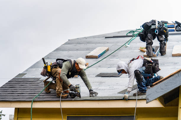 Professional Gutter Installation technician working in Bridport, VT